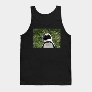 South African Penguin at Boulders Beach. Tank Top